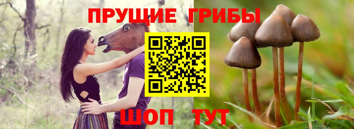 Галлюциногенные грибы Magic Shrooms Видное